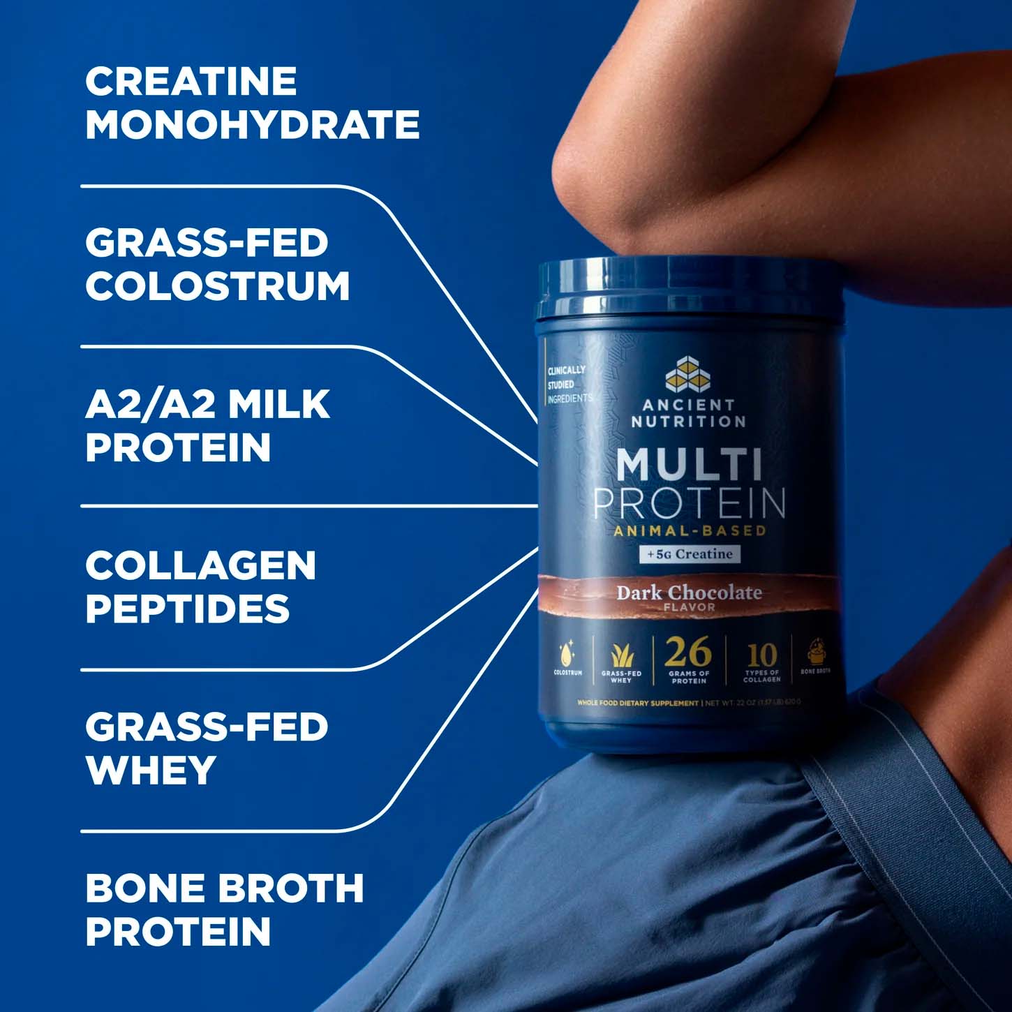 Ancient Nutrition, Multi Protein Animal Based + Creatine, Dark Chocolate, 26 g, 5 g, 1.37 lb