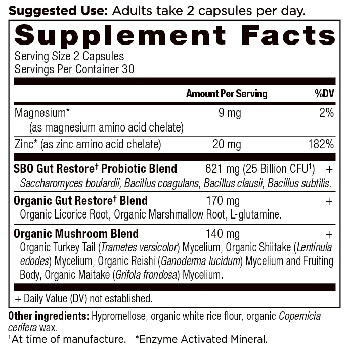 Ancient Nutrition, SBO Probiotics Gut Restore, 25 billion CFU, 60 Caps