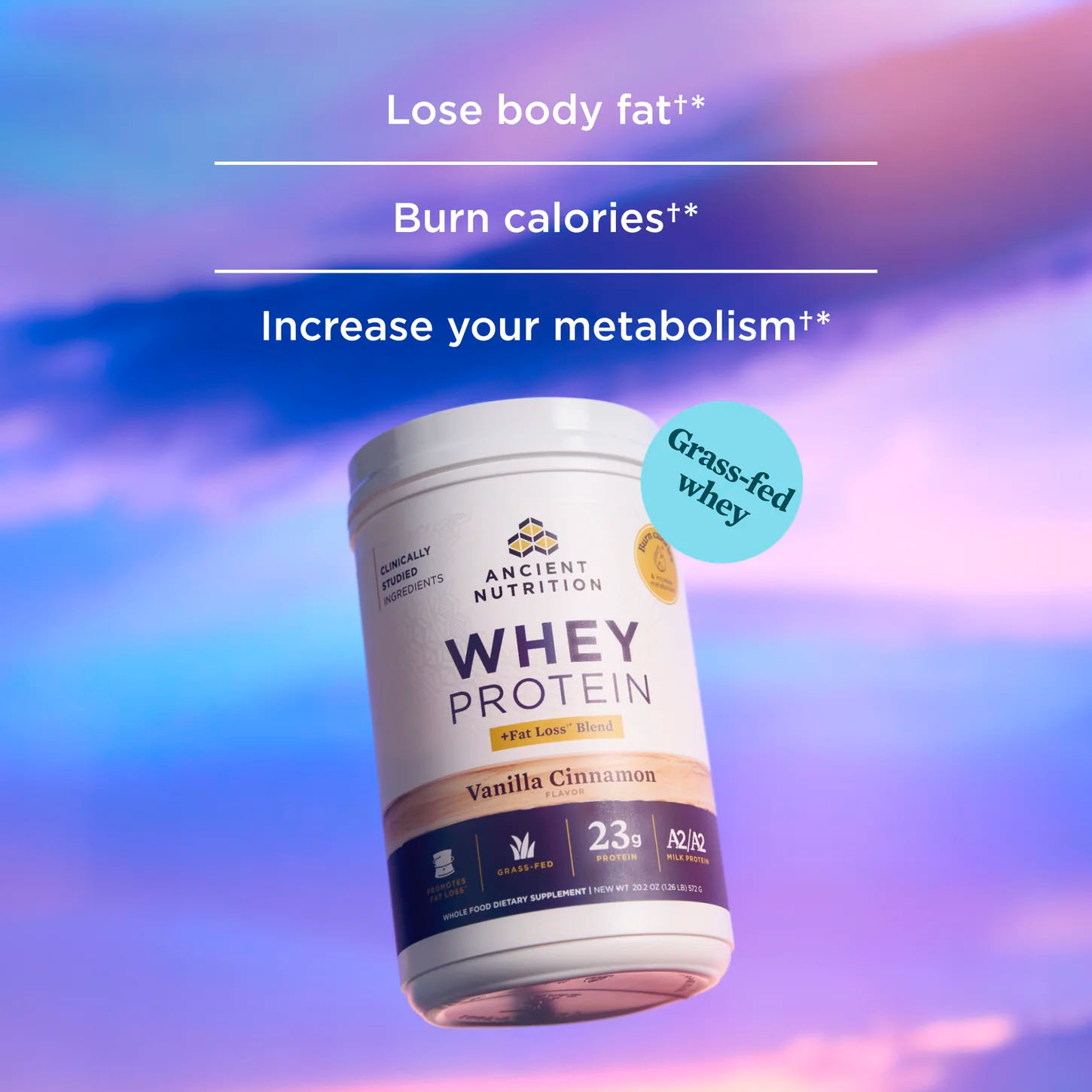 Ancient Nutrition, Whey Protein + Fat Loss Blend, Vanilla Cinnamon, 23 g, 1.26 lb