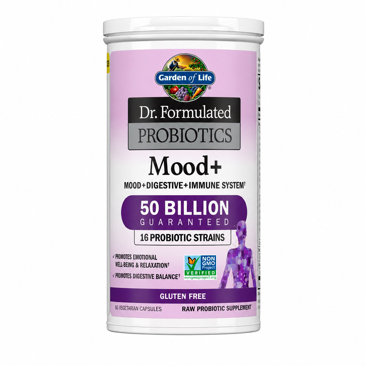 Garden of Life, Dr. Formulated Probiotics Mood+, 50 billion CFU, 60 Vegicaps