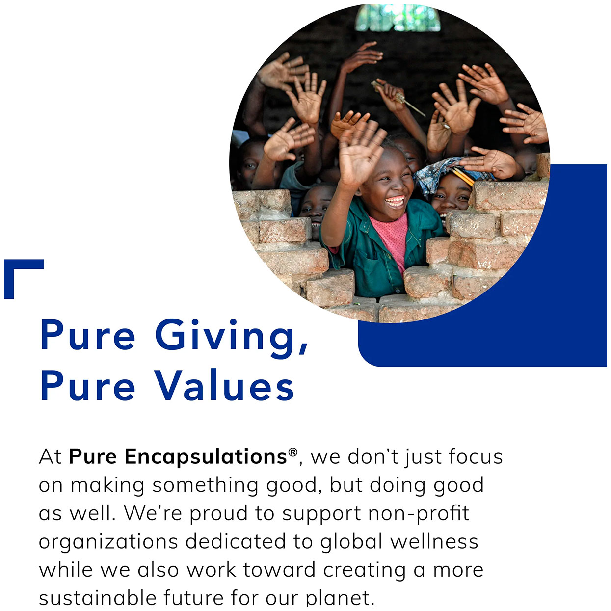 Pure Encapsulations, Electrolyte + Energy Formula, 12 oz (340 g)