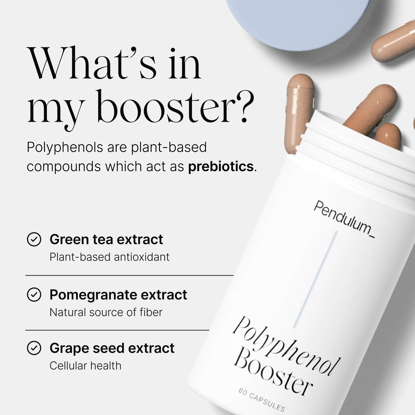 Pendulum, Polyphenol Booster, 60 Caps