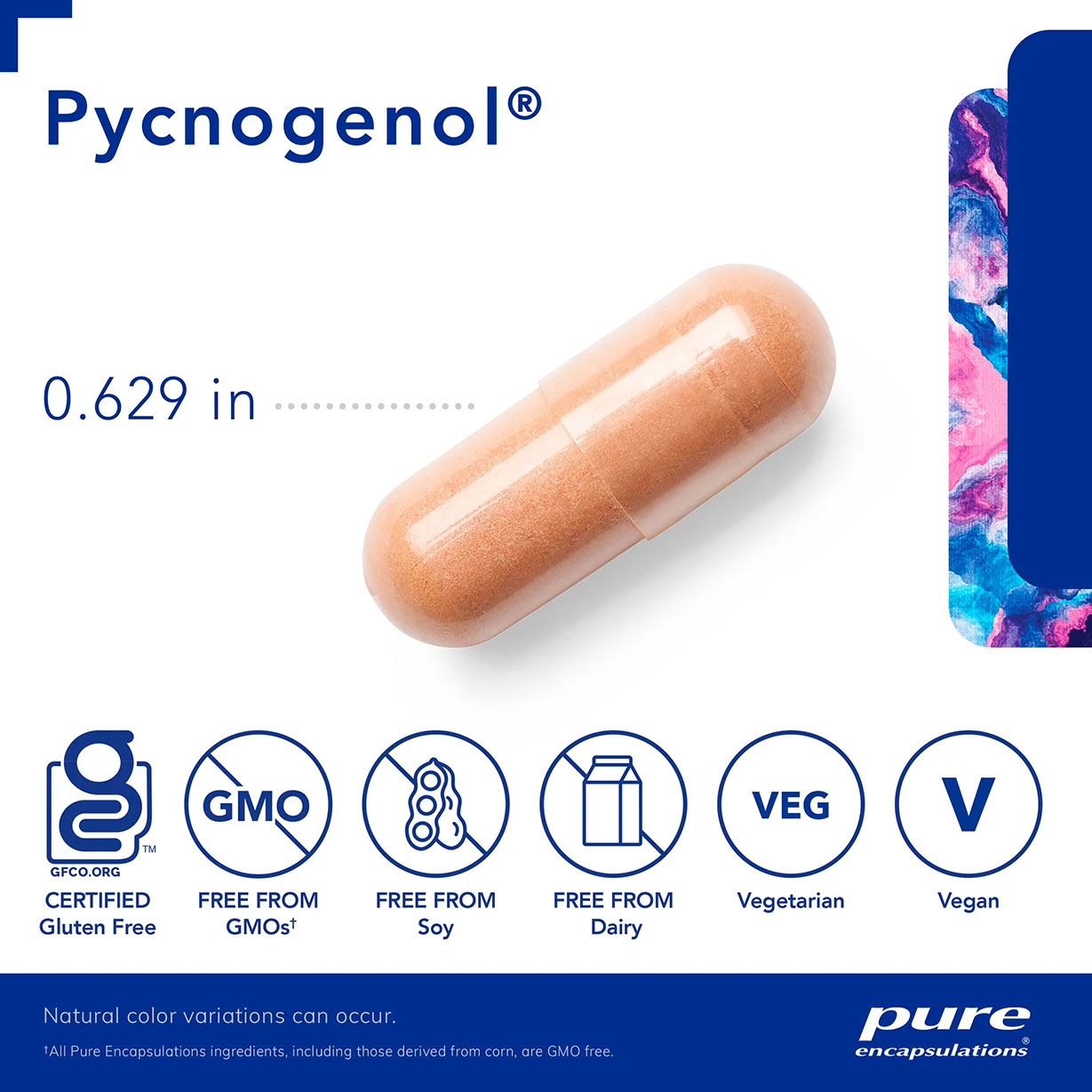 Pure Encapsulations, Pycnogenol, 100 mg, 60 Caps