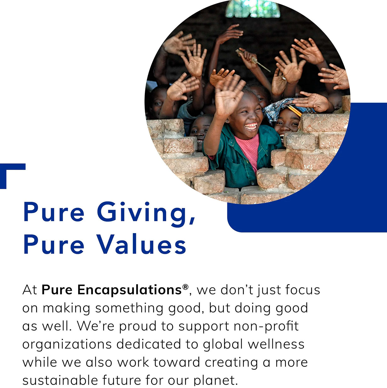 Pure Encapsulations, Pycnogenol, 100 mg, 60 Caps
