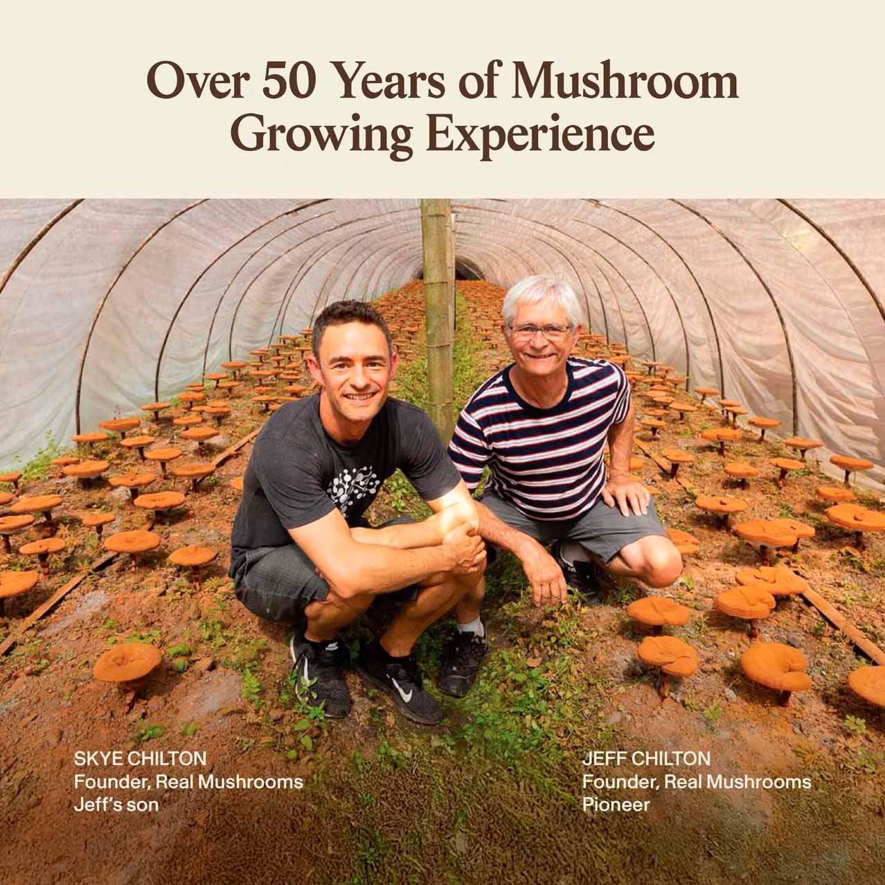 Real Mushrooms, 5 Defenders Mushroom Blend Immune Strength, 1000 mg, 90 Caps