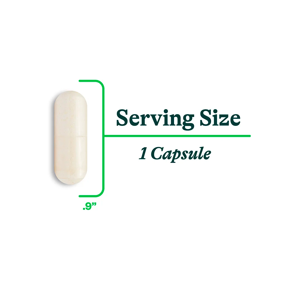 Seeking Health, ProBiota HistaminX, 10 Billion CFU, 60 Caps