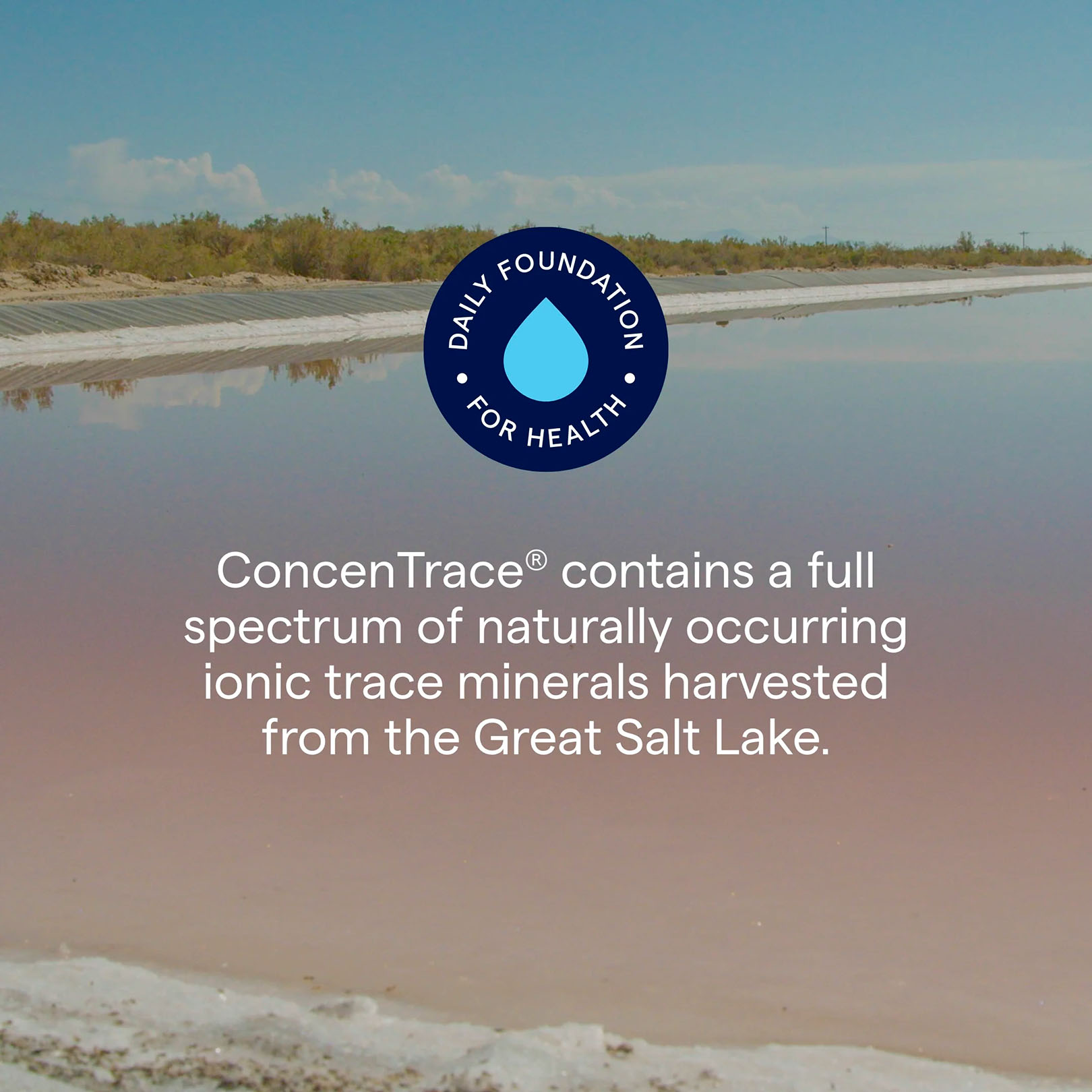 Trace Minerals, ConcenTrace Trace Mineral Drops Full Spectrum, 4 fl oz