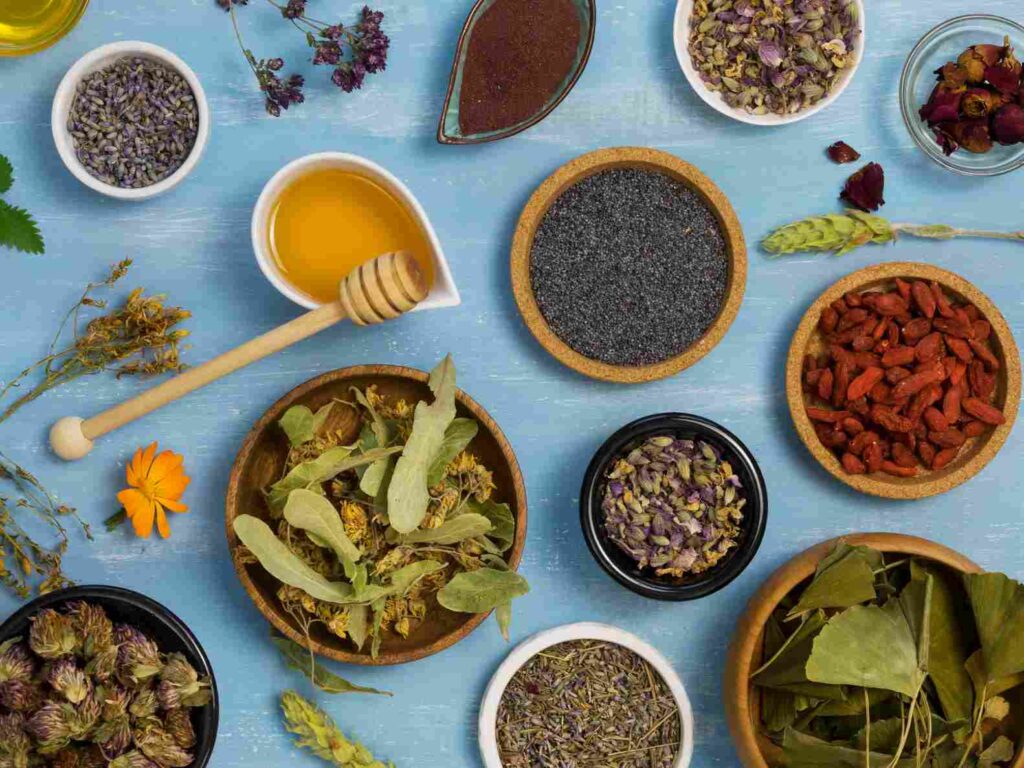 What Are Adaptogens