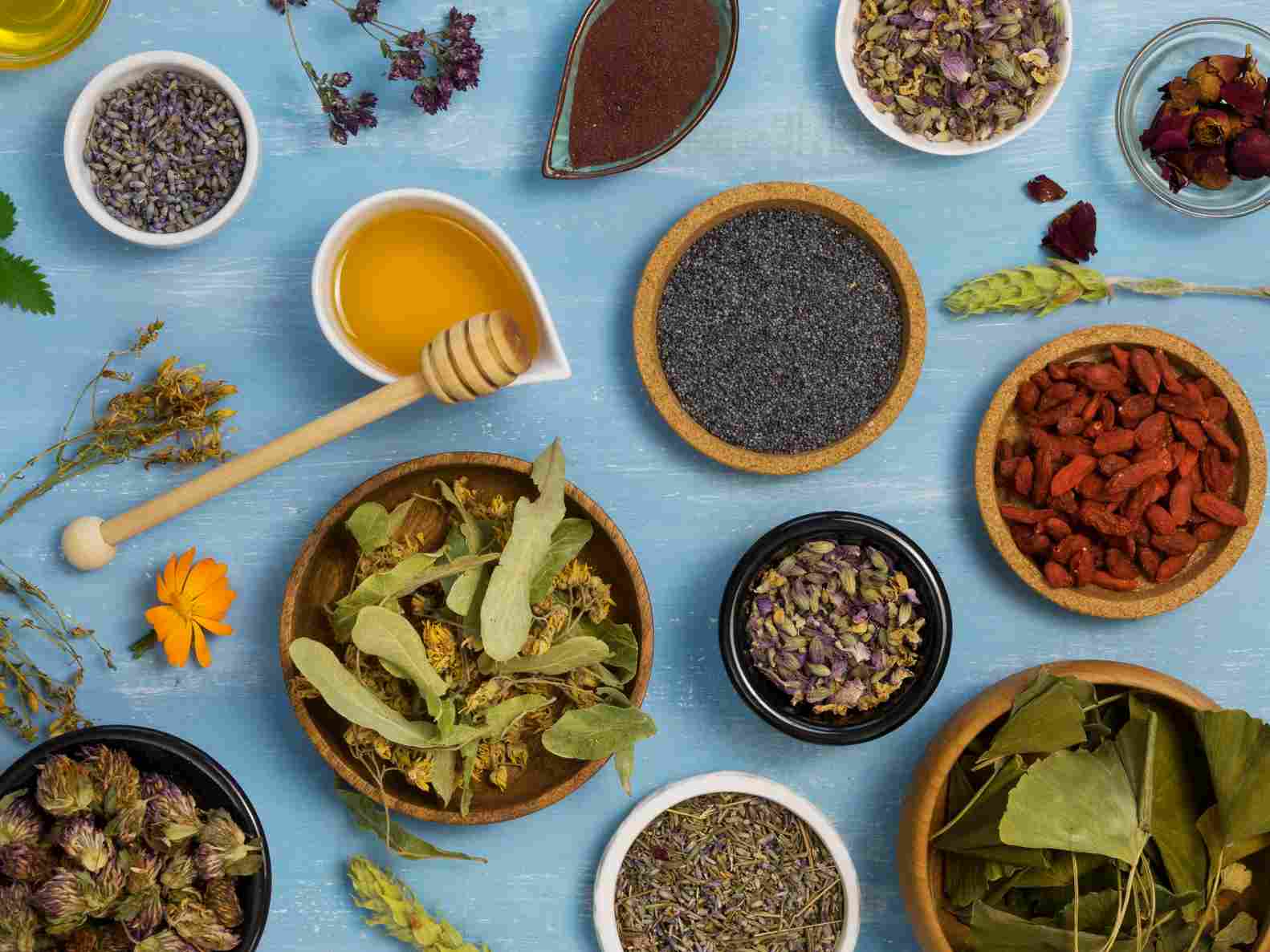 What Are Adaptogens