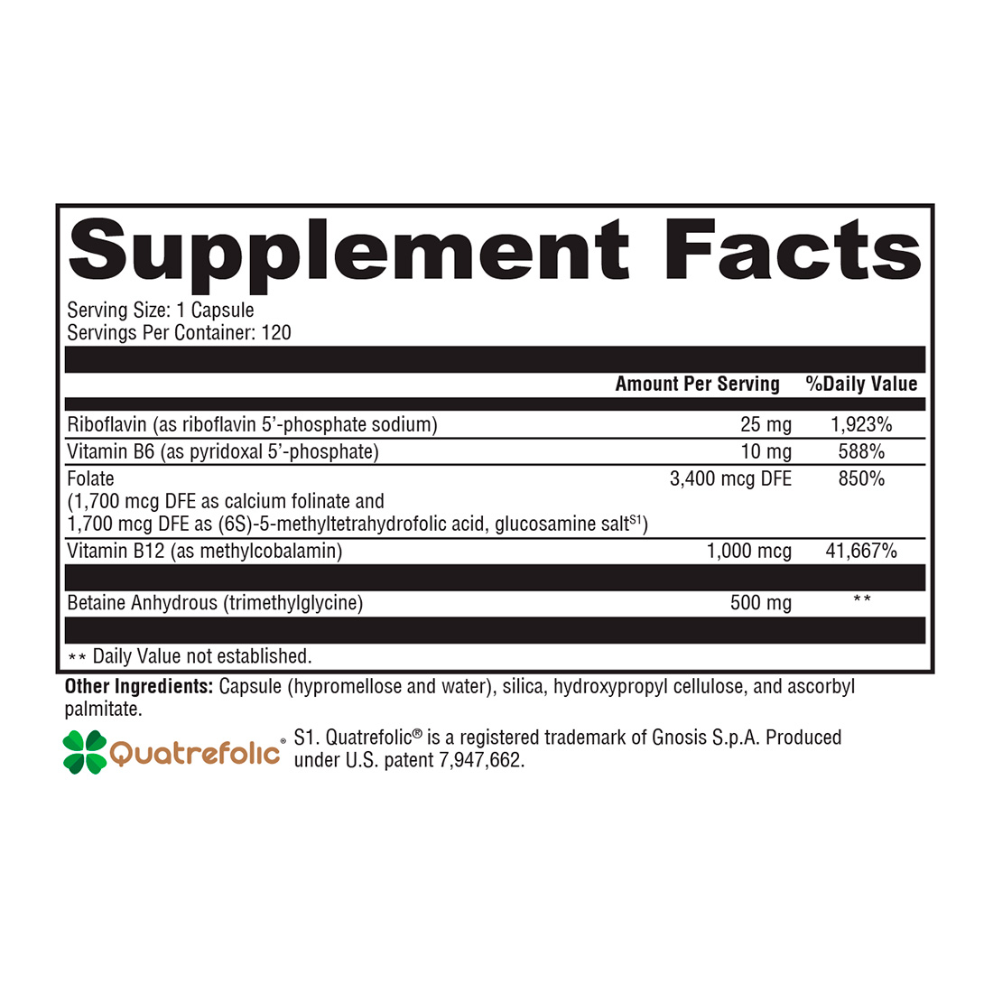 XYMOGEN, Methyl Protect, 120 Vegicaps
