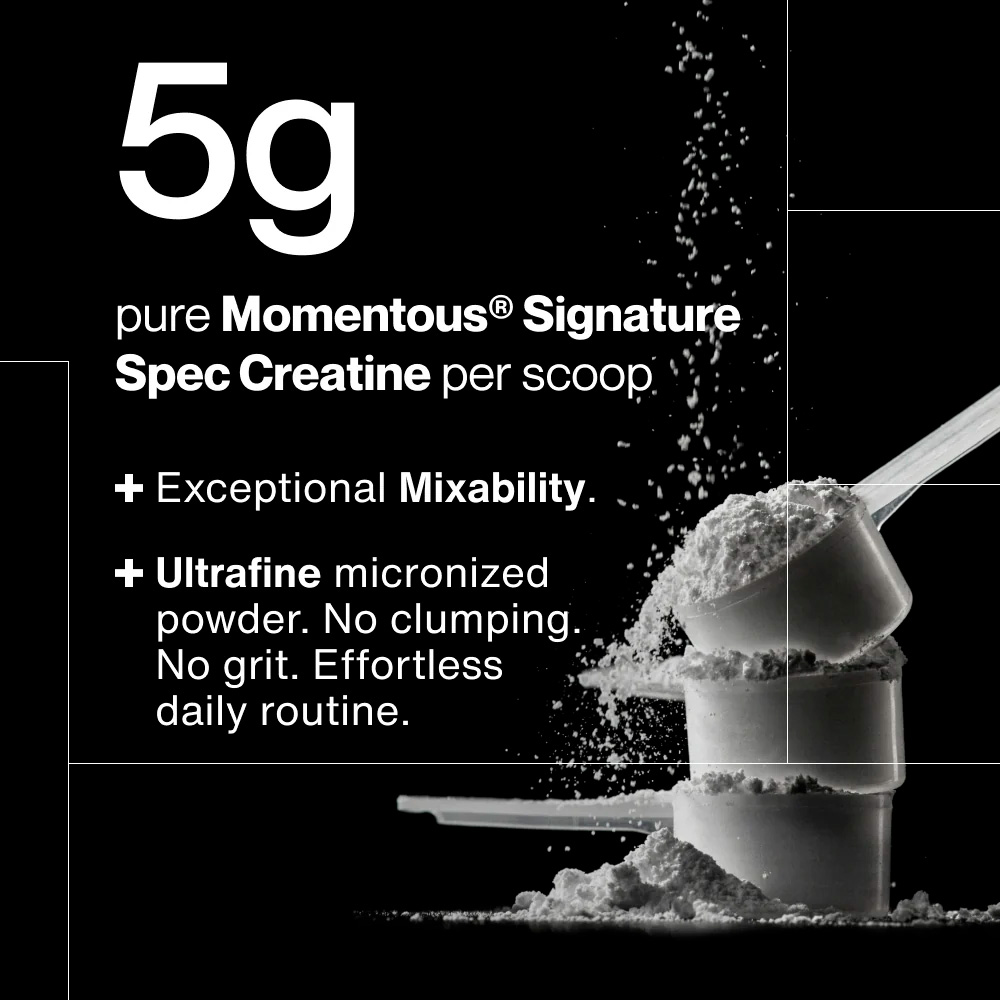 Momentous, Creatine Monohydrate Travel Packs, Lemon, 5 g, 15 Packets