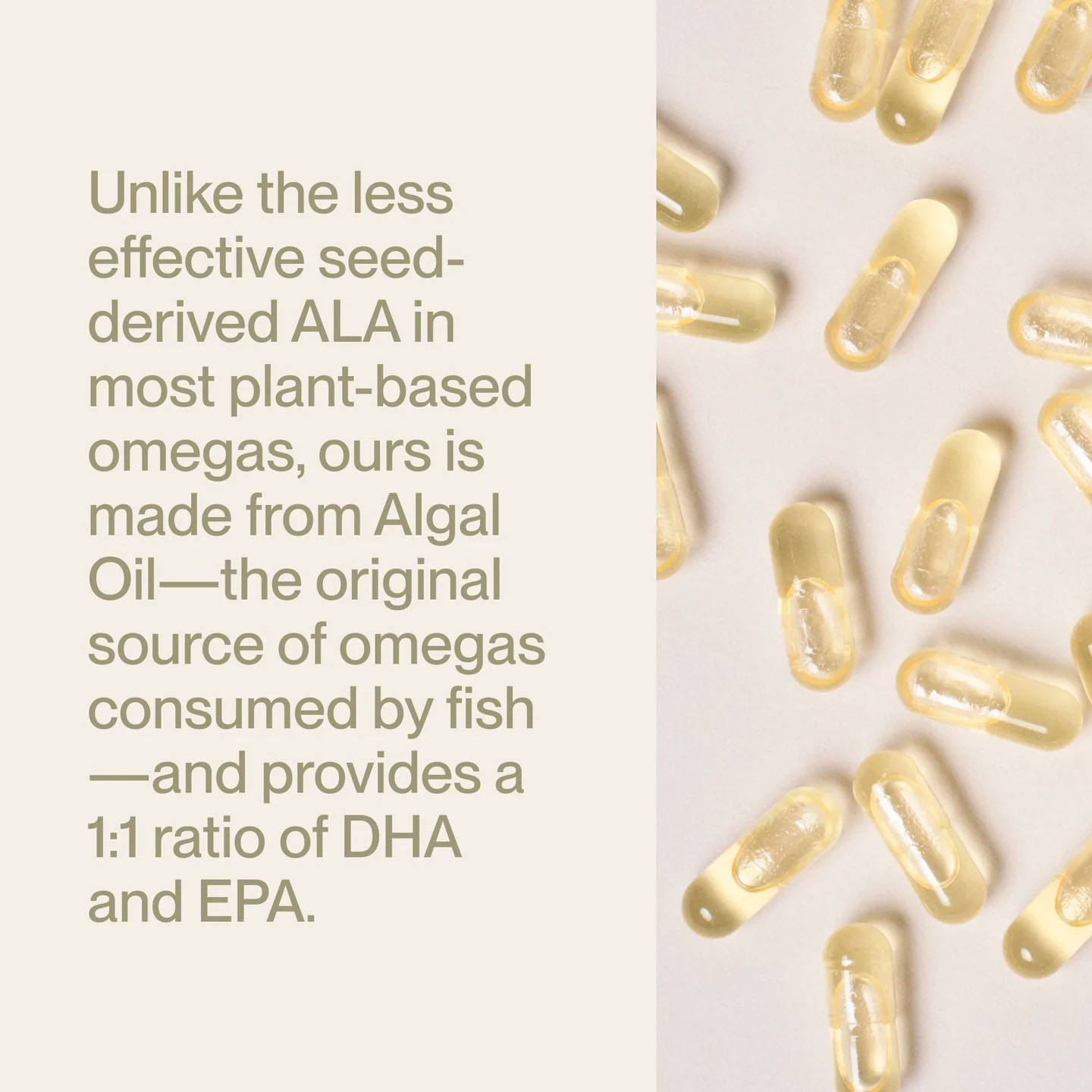 Momentous, Omega-3 Vegan Algae Oil EPA + DHA, 500 mg, 500 mg, 60 Vegicaps