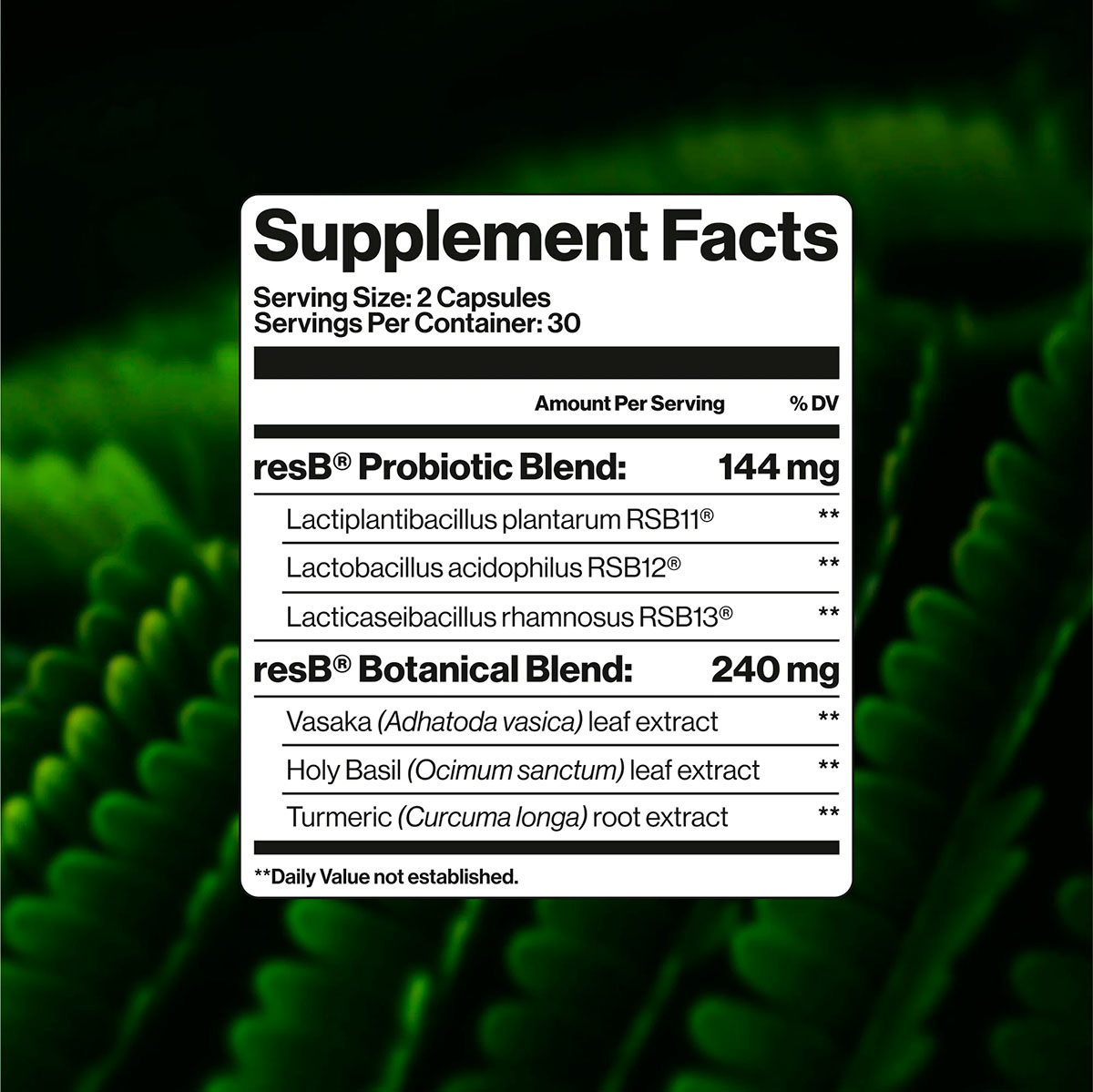 ResBiotic, resB Lung Support Probiotic, 30B CPU, 60 Vegicaps