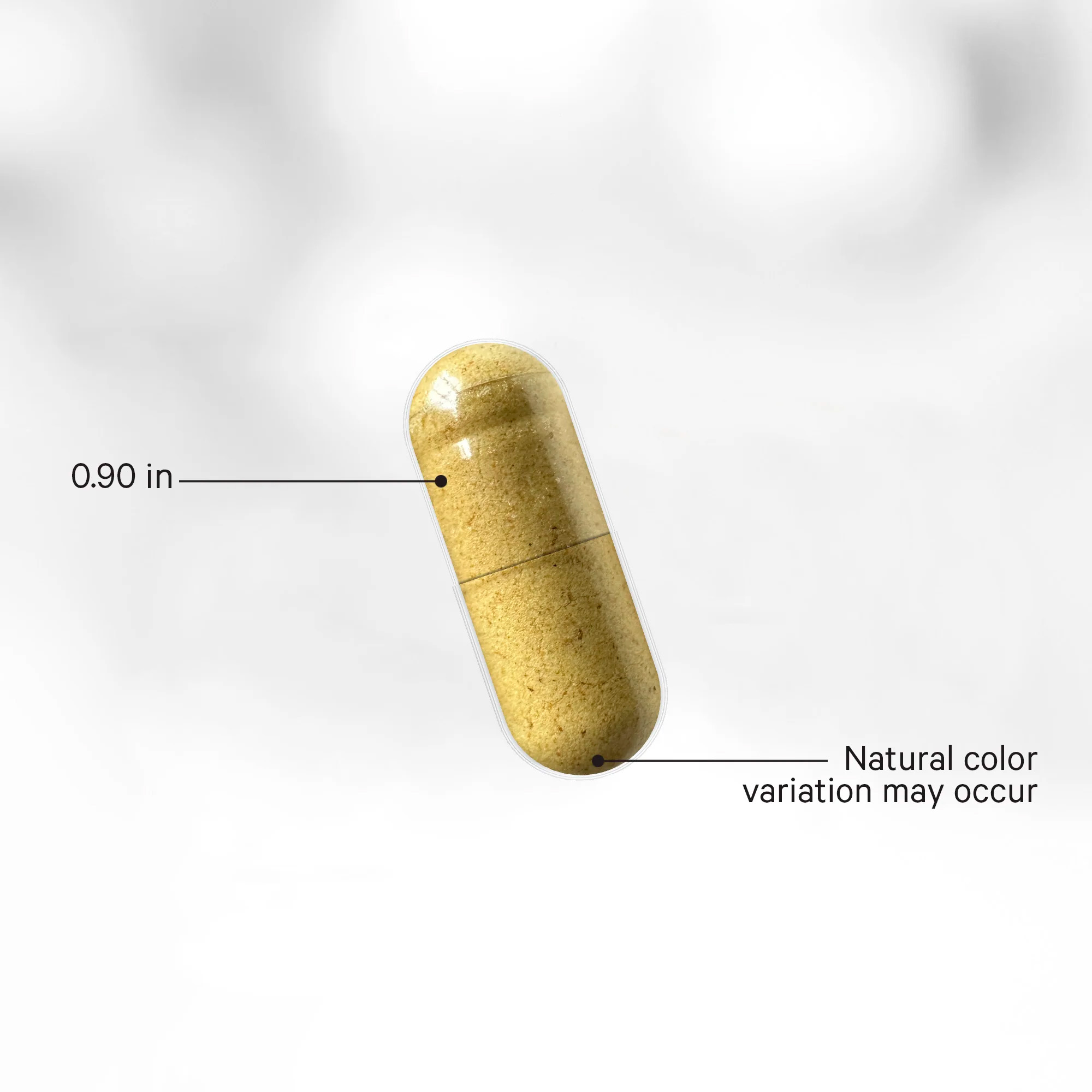 Codeage, Fermented Digestive Enzymes & Botanicals, 90 Vegicaps