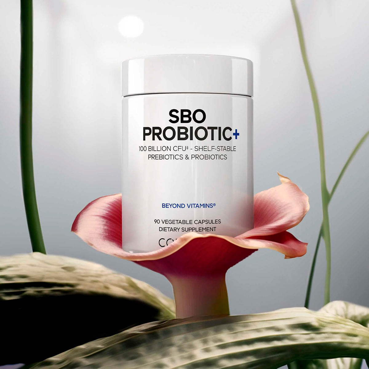 Codeage, Shelf-Stable SBO Probiotic, 100 Billion CFU, 90 Vegicaps